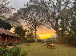 AfricaWildTruck Eco Camp & Lodge